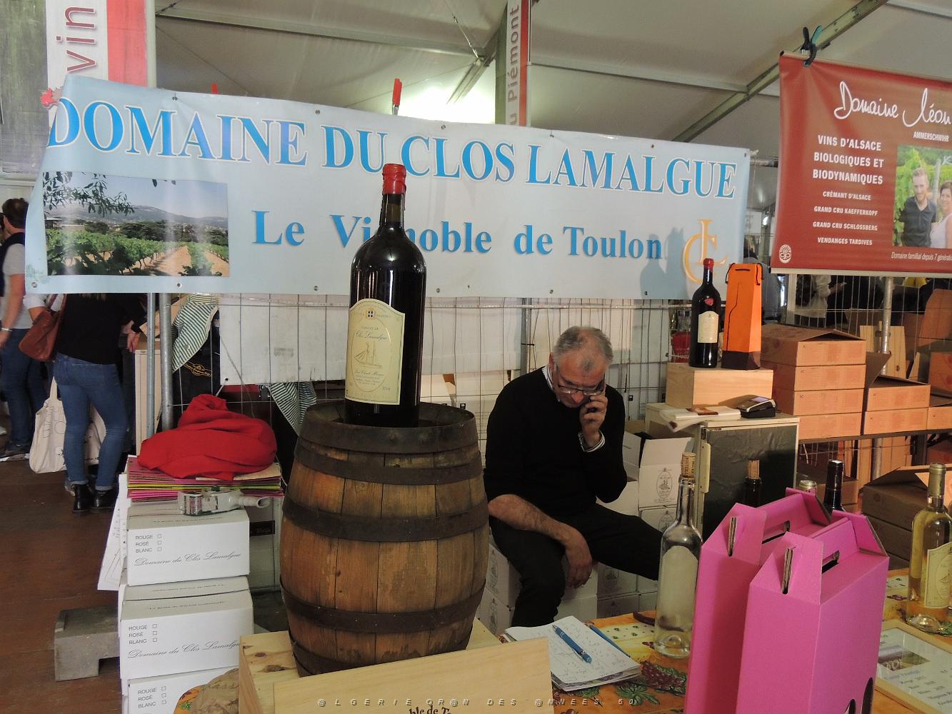 toulon Bacchus 2019 (18).JPG -           